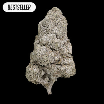Et fuldt topskud af N*1 Sativa i høj kvalitet, med tydelige krystaller og kompakt struktur på sort baggrund.
