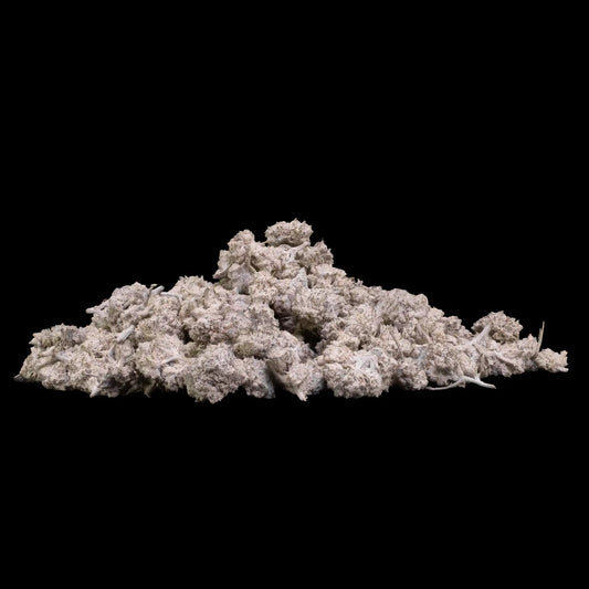 Pink Zkittlez popcorn topskud i 25g-variant med lys grøn farve og synlige THCA-trichomer i kompakt struktur.