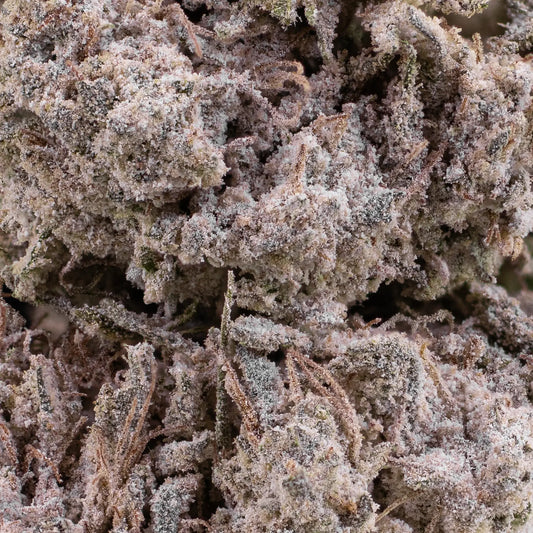 Weedshop frosted thca bud trainwreck macro closeup shot trichomes
