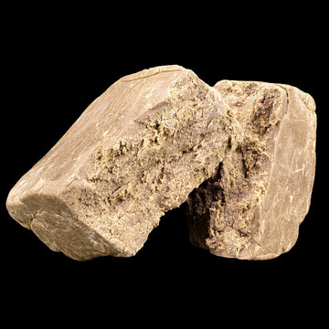 F1 - 25% THCA