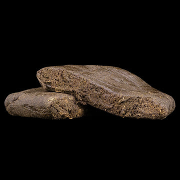 Weedshop manali hash thca static